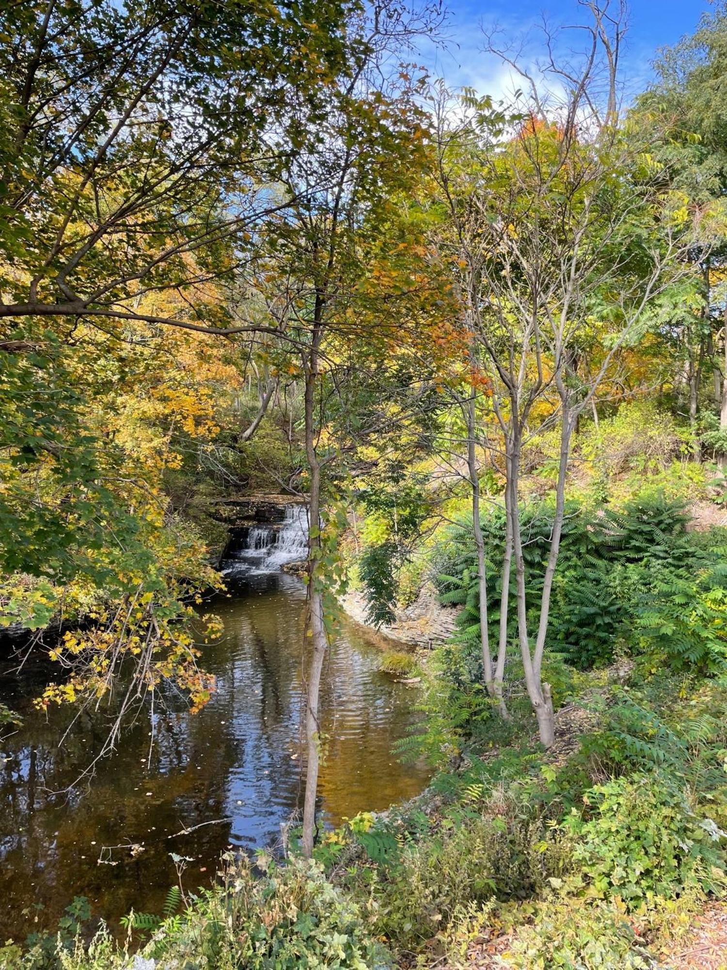 The Fallsview At Burdett Falls Стая снимка